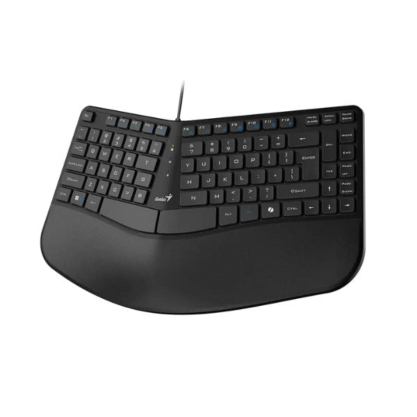 Teclado Genius Ergonómico BK-700 USB