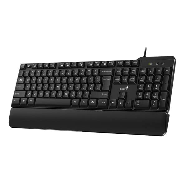 Teclado Genius KB-100XP